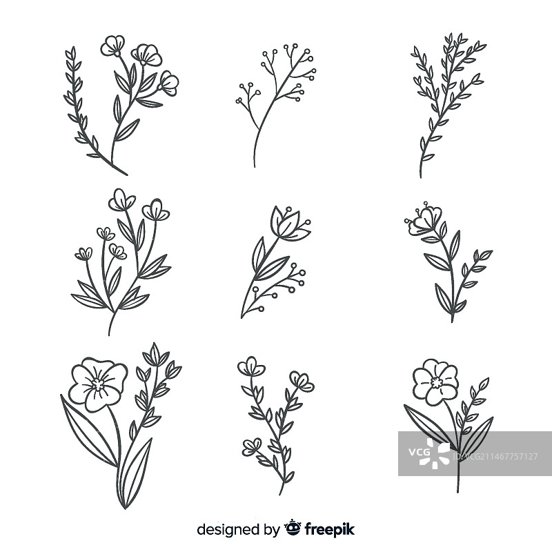 逼真手绘花卉素材合集图片素材