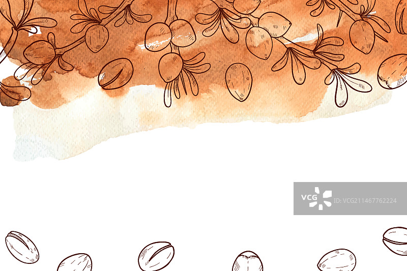 手绘摩洛哥坚果油背景图片素材