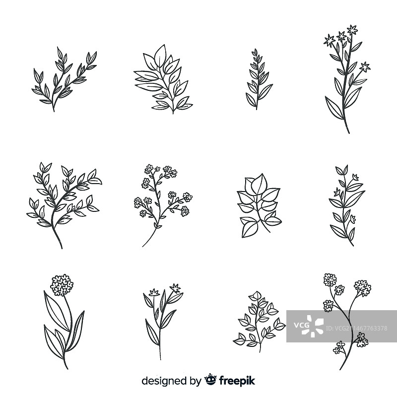 手绘逼真花卉和树叶图片素材