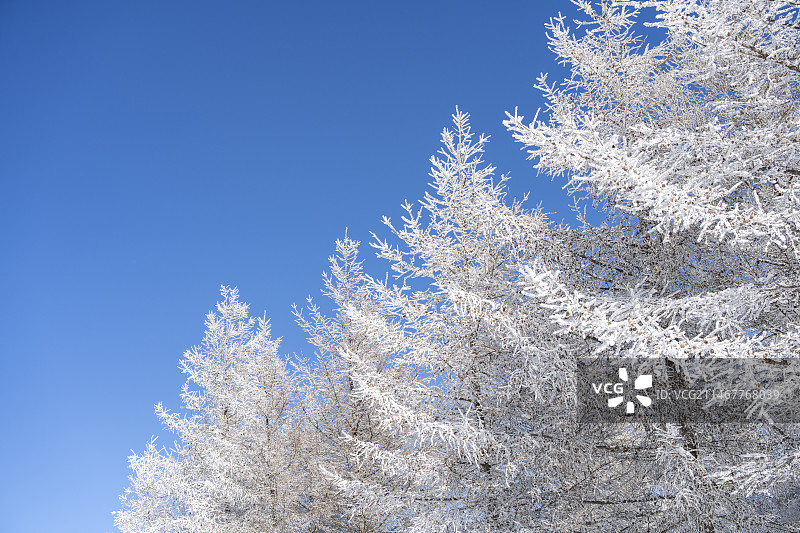 冬天雪后雾凇风景图片素材