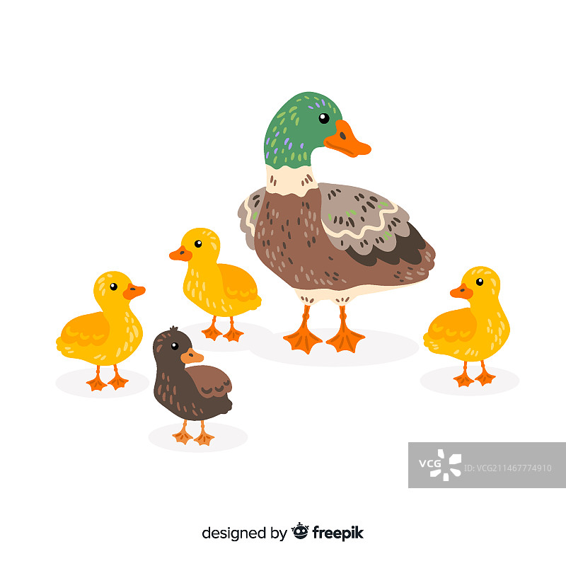 手绘扁平风格母鸭和小鸭图片素材