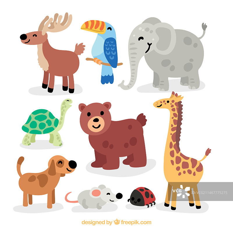 快乐的彩色野生动物套装图片素材