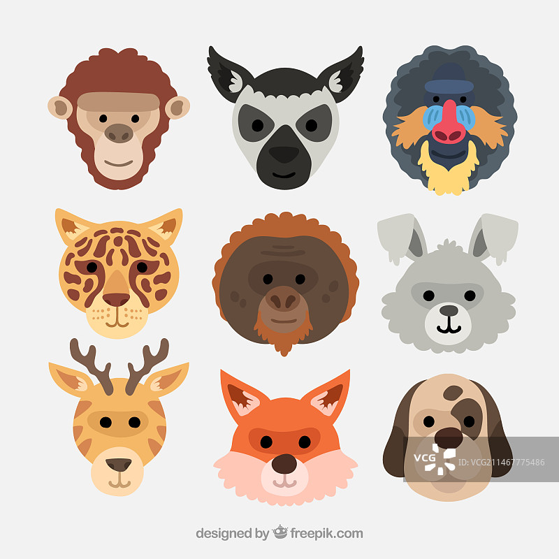 动物面部合集图片素材