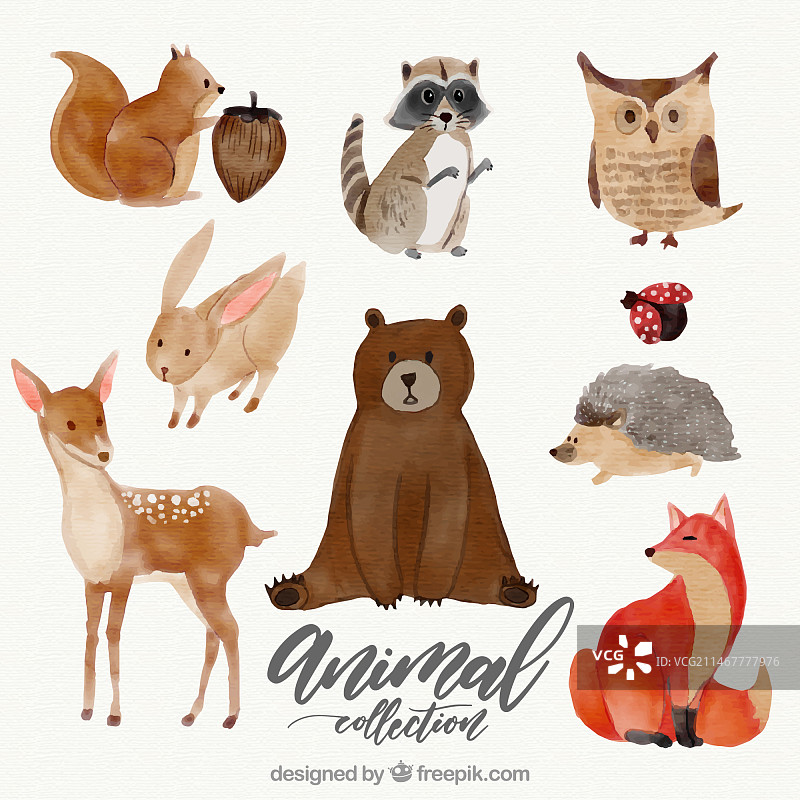 可爱动物水彩套装图片素材