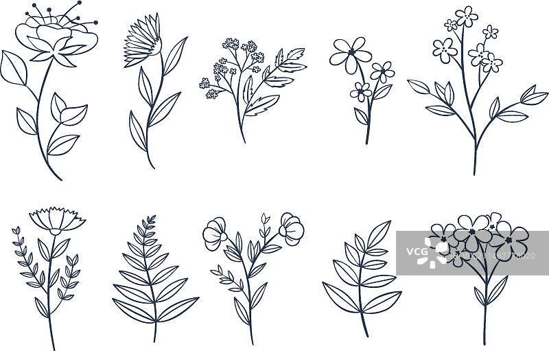 手绘花卉合集图片素材