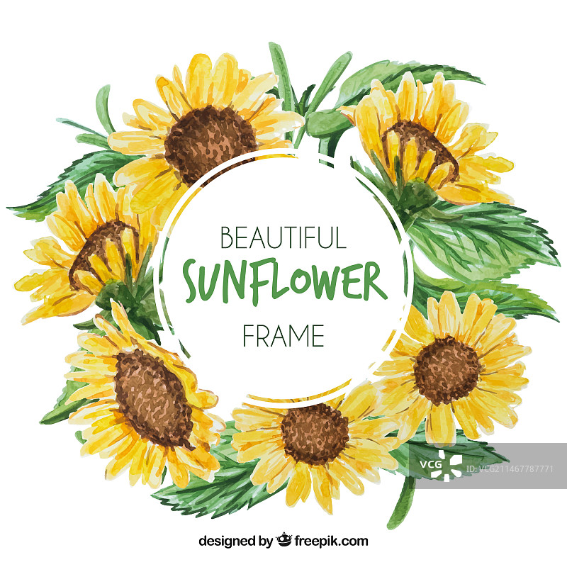 水彩向日葵圆形花卉框架图片素材