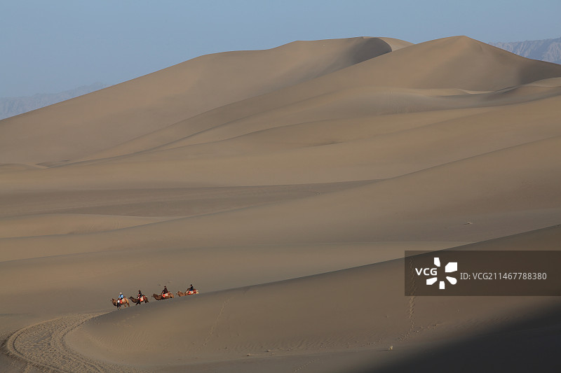 沙漠驼铃图片素材