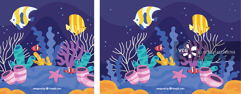 鱼和珊瑚水下世界图片素材