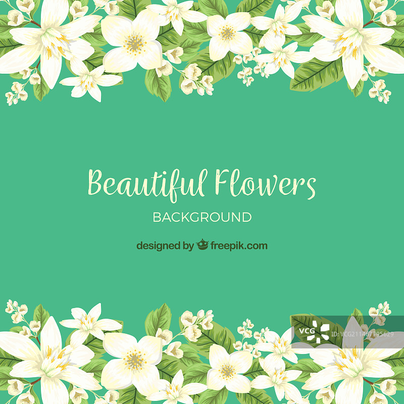 手绘风格的美丽茉莉花图片素材