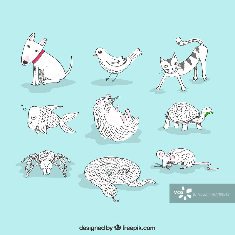 手绘动物合集图片素材