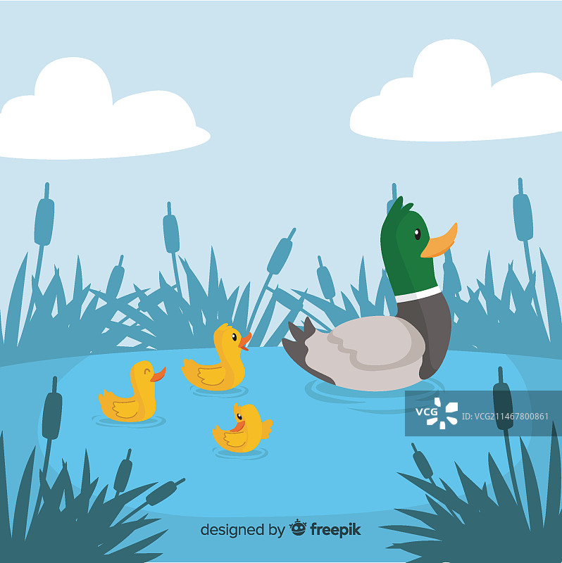 扁平风格的母鸭与小鸭图片素材