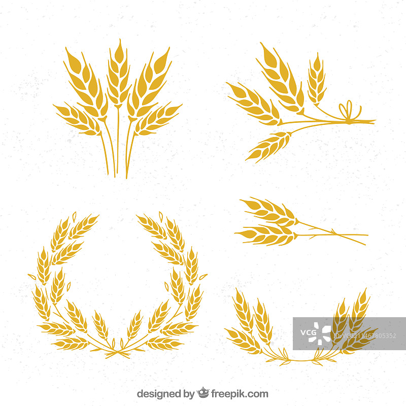 手绘小麦合集图片素材