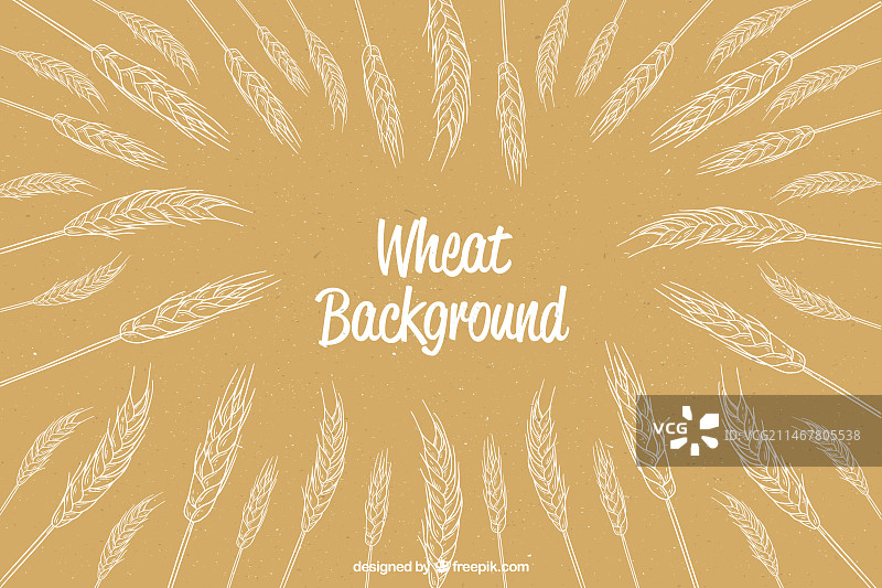 手绘小麦背景图片素材