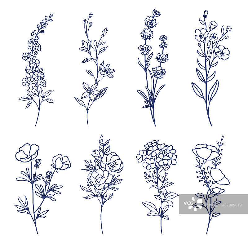 手绘花卉合集雕刻图片素材