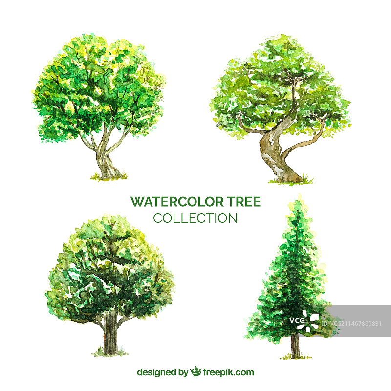 水彩风格的树木合集图片素材