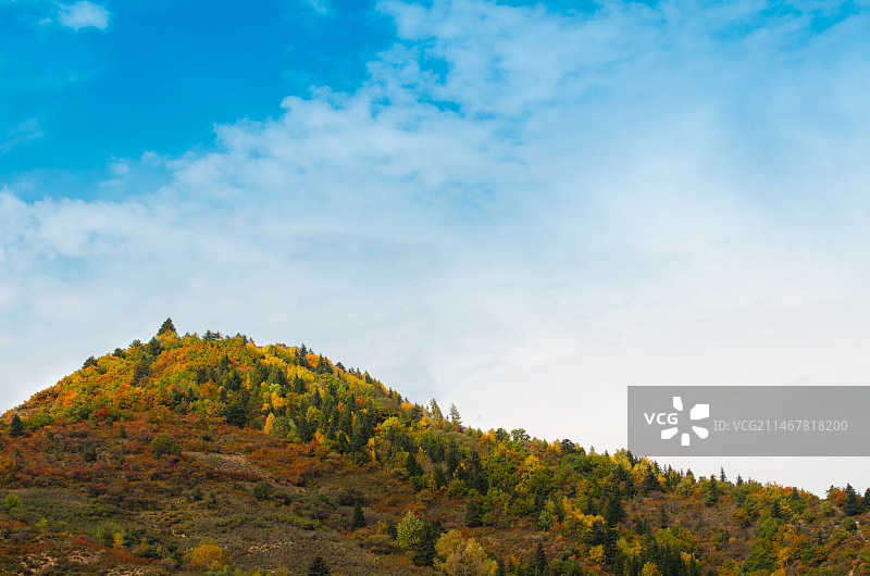 秋日芦芽山风景图片素材