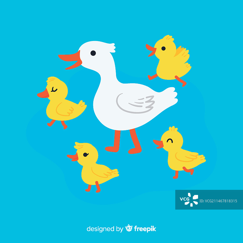 小鸭和鸭子的卡通设计图片素材
