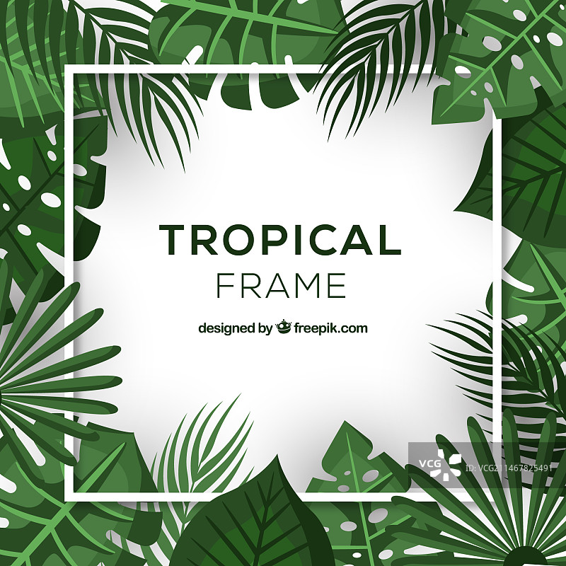 realistic 热带树叶边框图片素材