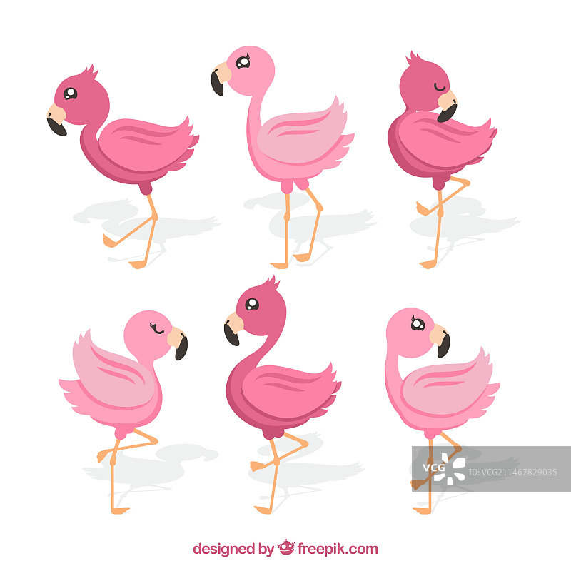 扁平风格火烈鸟姿势合集图片素材