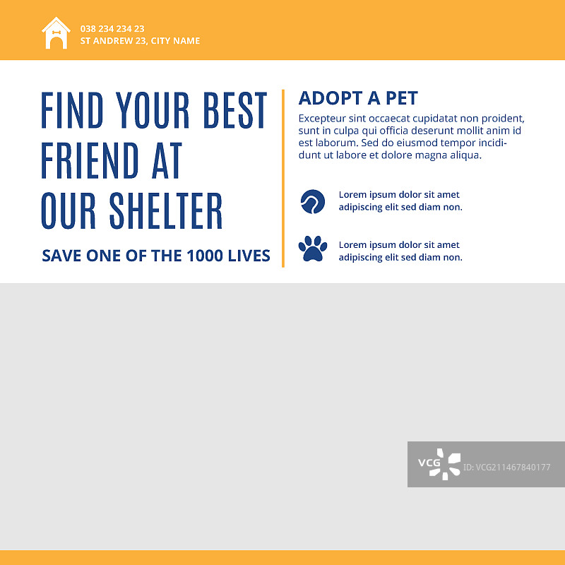 领养宠物方形宣传单模板图片素材