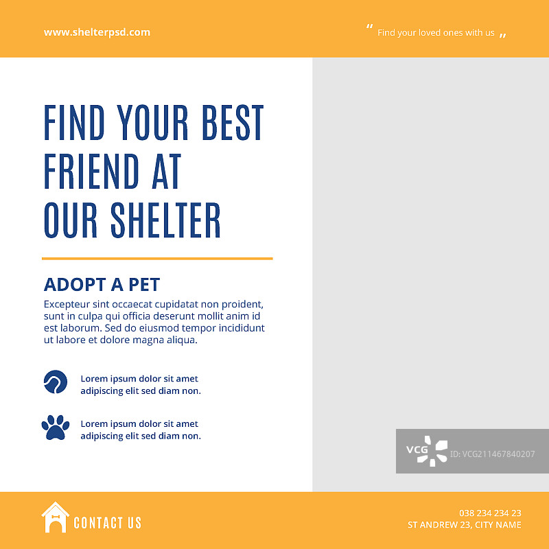 领养宠物方形宣传单模板图片素材