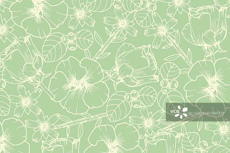 粉绿色背景上的逼真手绘花朵图片素材