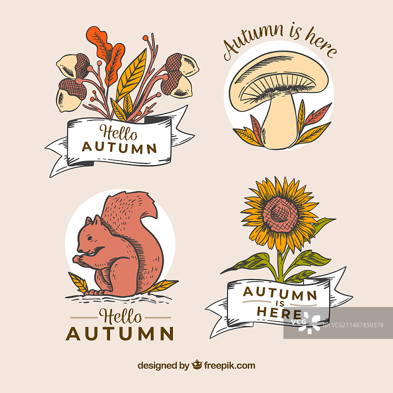 手绘风格秋季徽章合集图片素材