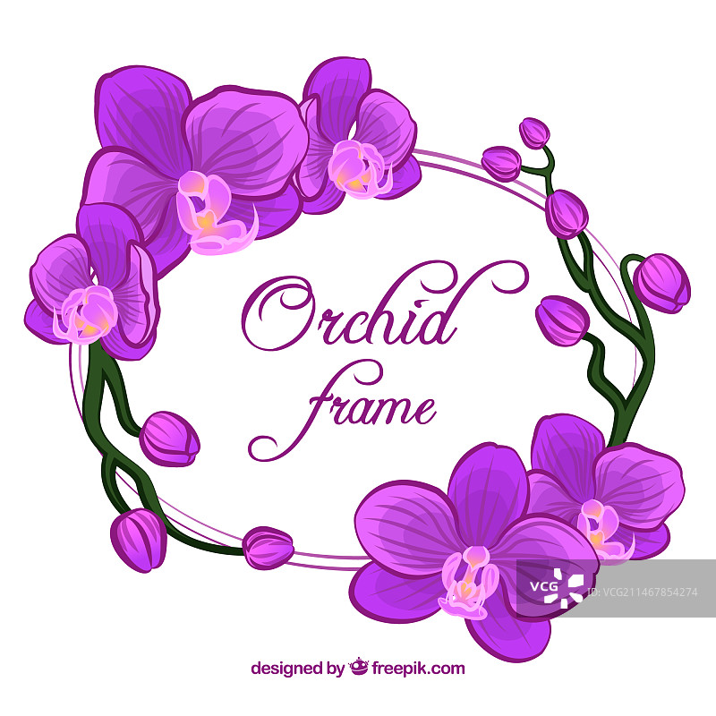 带有扁平设计的花卉边框图片素材