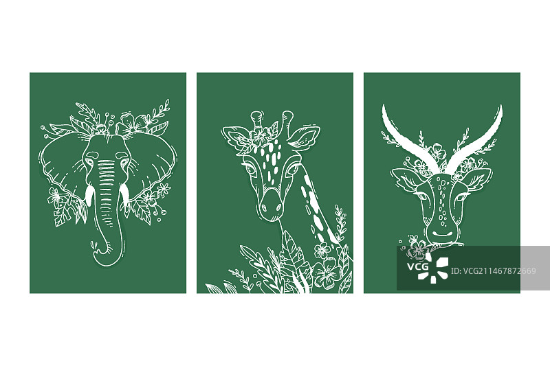 手绘野生动物封面合集图片素材