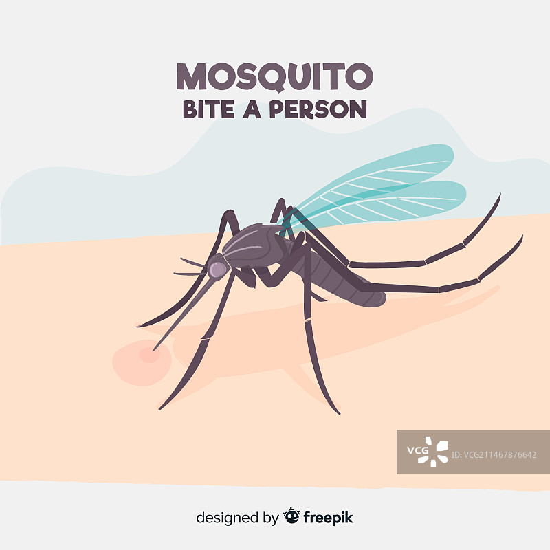 扁平设计：蚊虫叮咬人图片素材