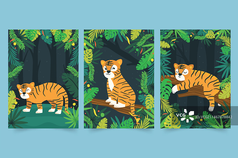 野生动物封面合集图片素材