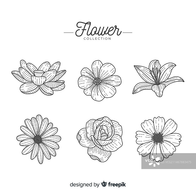 手绘花卉素材包图片素材