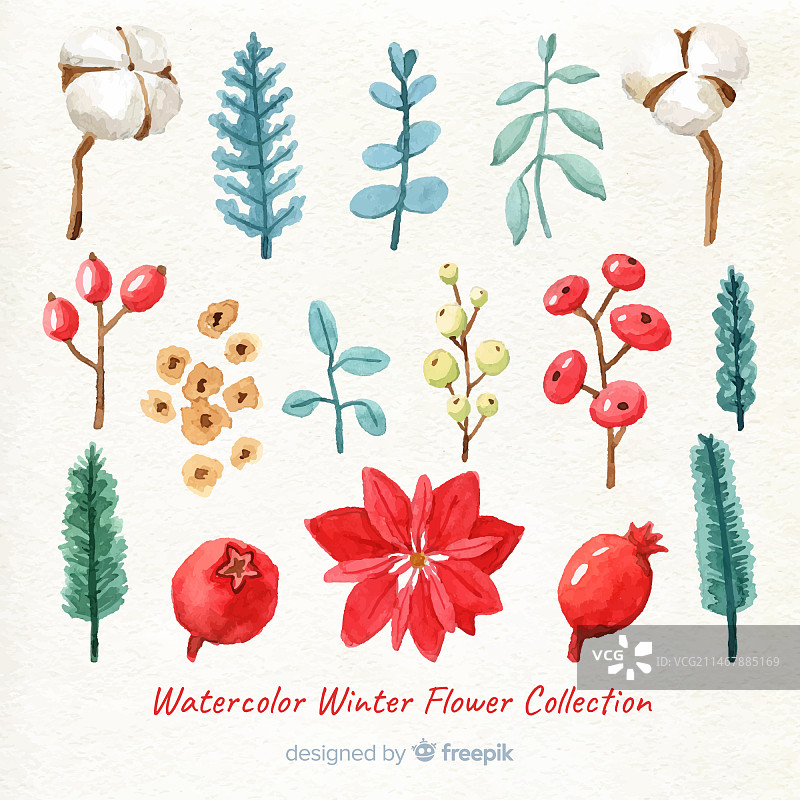 水彩冬季花卉合集图片素材