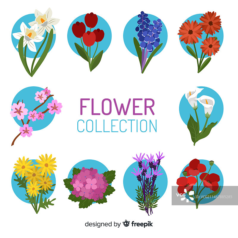 花收集图片素材