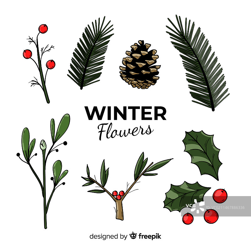 手绘冬季花卉合集图片素材