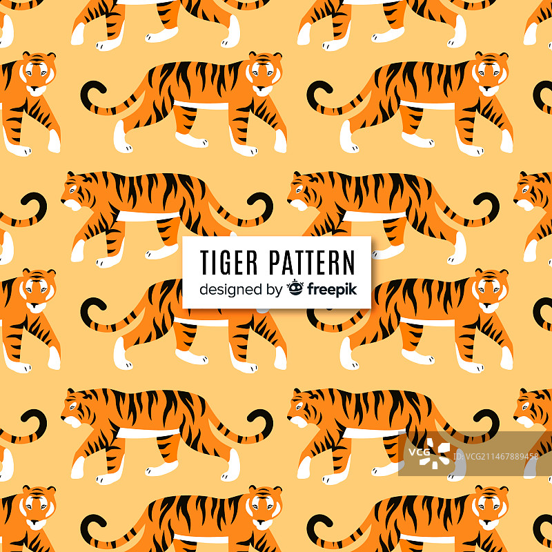 行走的老虎花纹图片素材