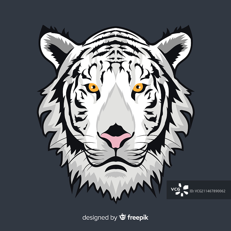 白色老虎背景图片素材