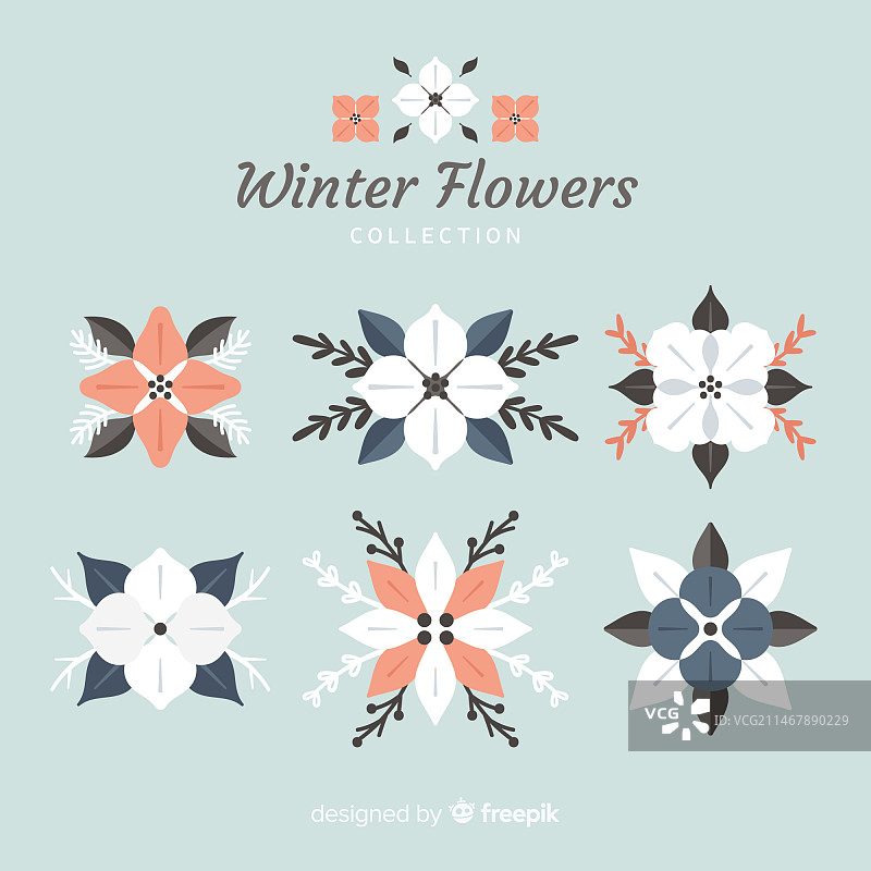 扁平风冬季花卉合集图片素材