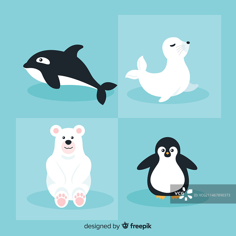 冬季海洋动物素材包图片素材