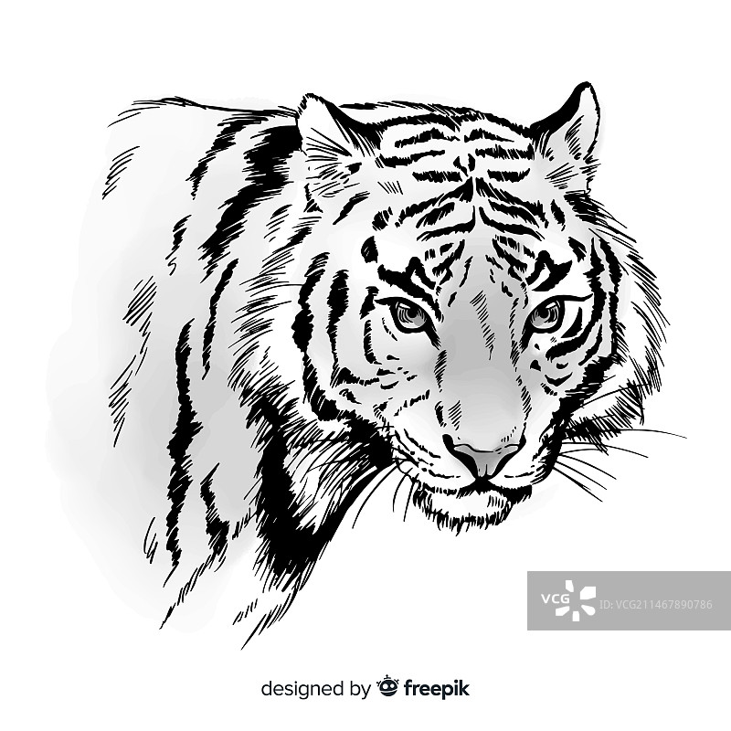 手绘老虎背景图片素材