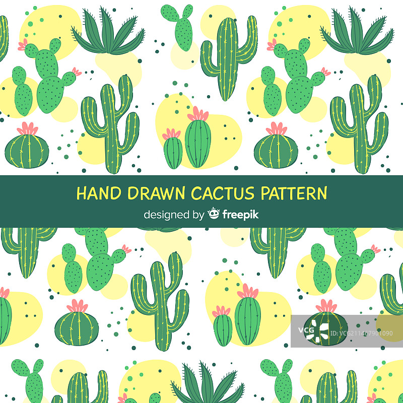 手绘仙人掌背景图片素材