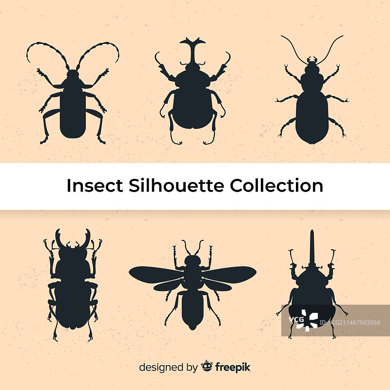 昆虫剪影合集图片素材