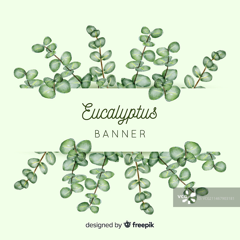 水彩桉树叶banner图片素材
