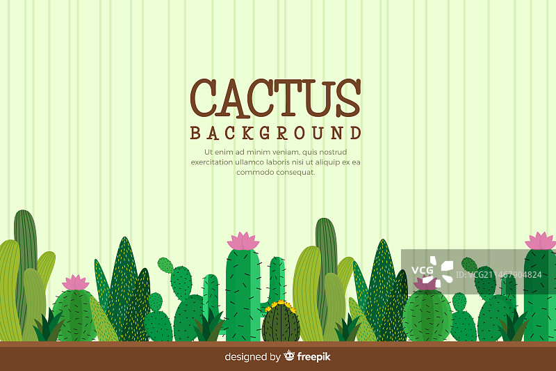 手绘仙人掌背景图片素材