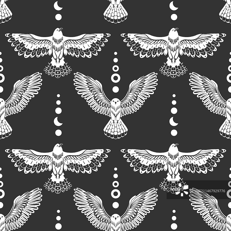 白色猫头鹰和老鹰纹理图片素材