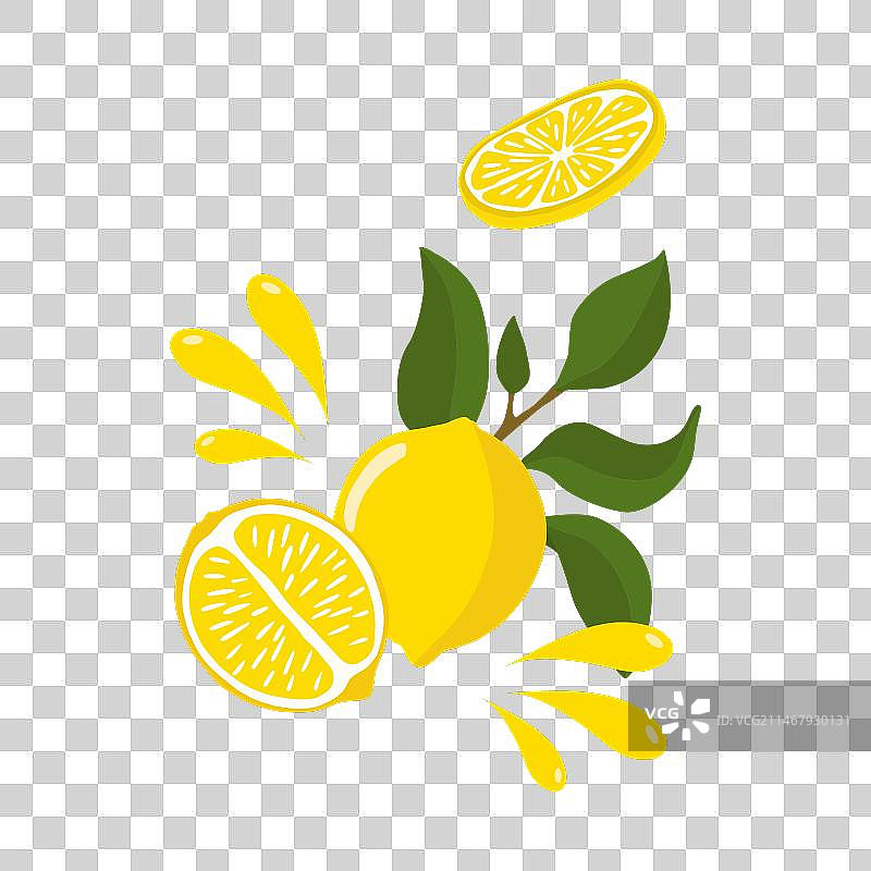 柠檬枝的明亮构图图片素材