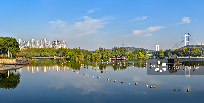 秋色-100图片素材