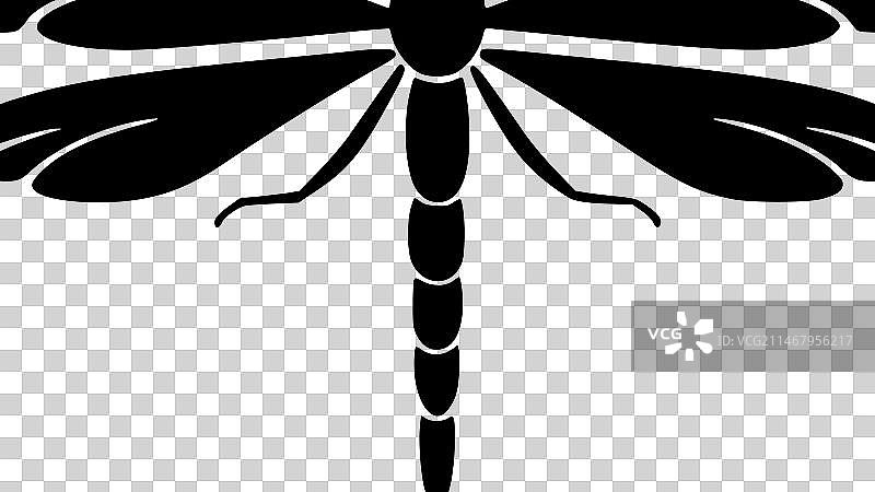 蜻蜓黑白隔离图标图片素材