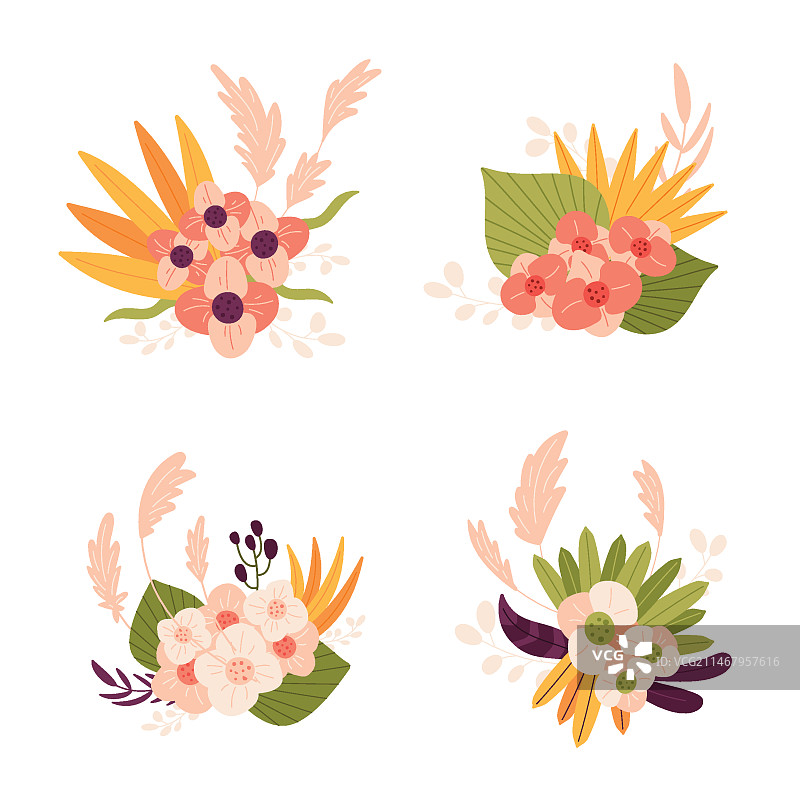 手绘蒲苇草插画合集图片素材