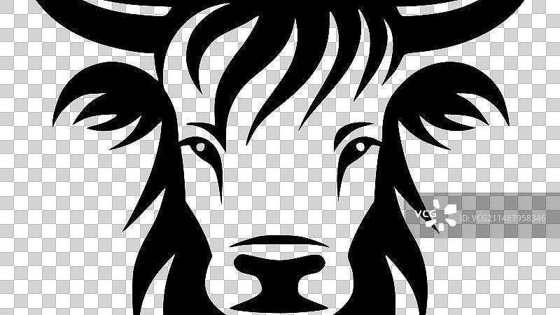 黑白相间的高地牛图片素材